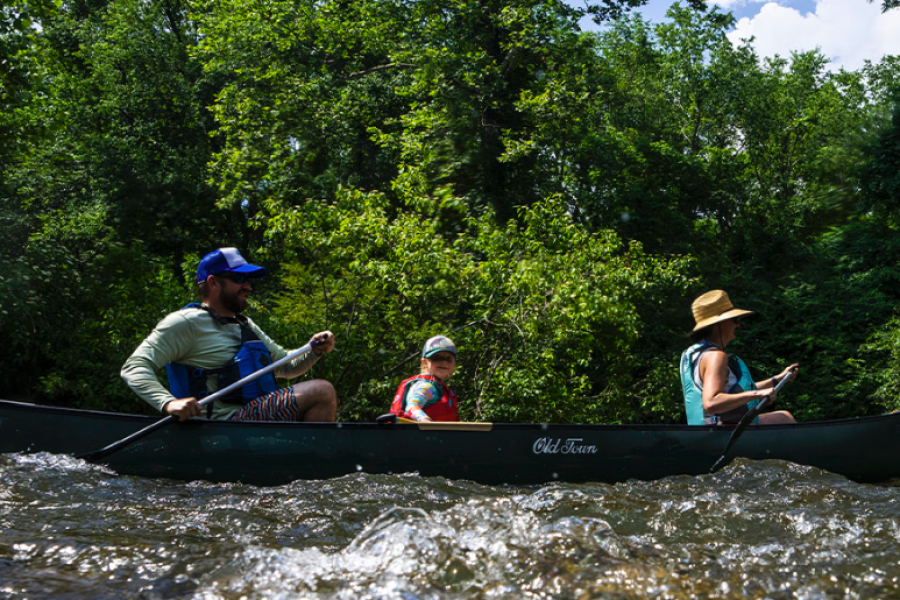 A family of three paddle a canoe with life jackets on during a canoe and kayak sunset tour. The husband is in the back of the canoe, young child in the middle, and mother in the front on a beautiful afternoon on the French Broad River.